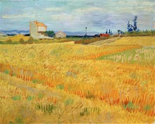 Wheat Field, 1888