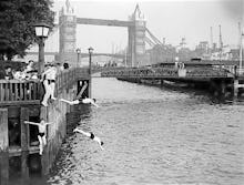 Hot Weather, London Tower Bridge - June 1952