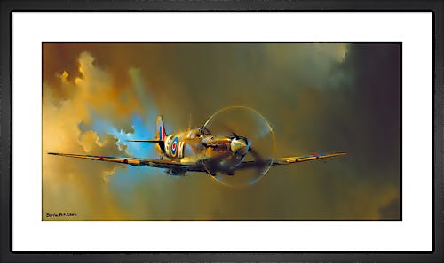Spitfire by Barrie Clark