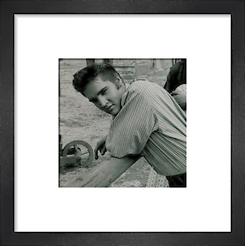Elvis, 1956 (small) by Celebrity Image