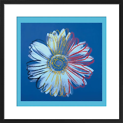 Daisy, c.1982 (blue on blue) by Andy Warhol