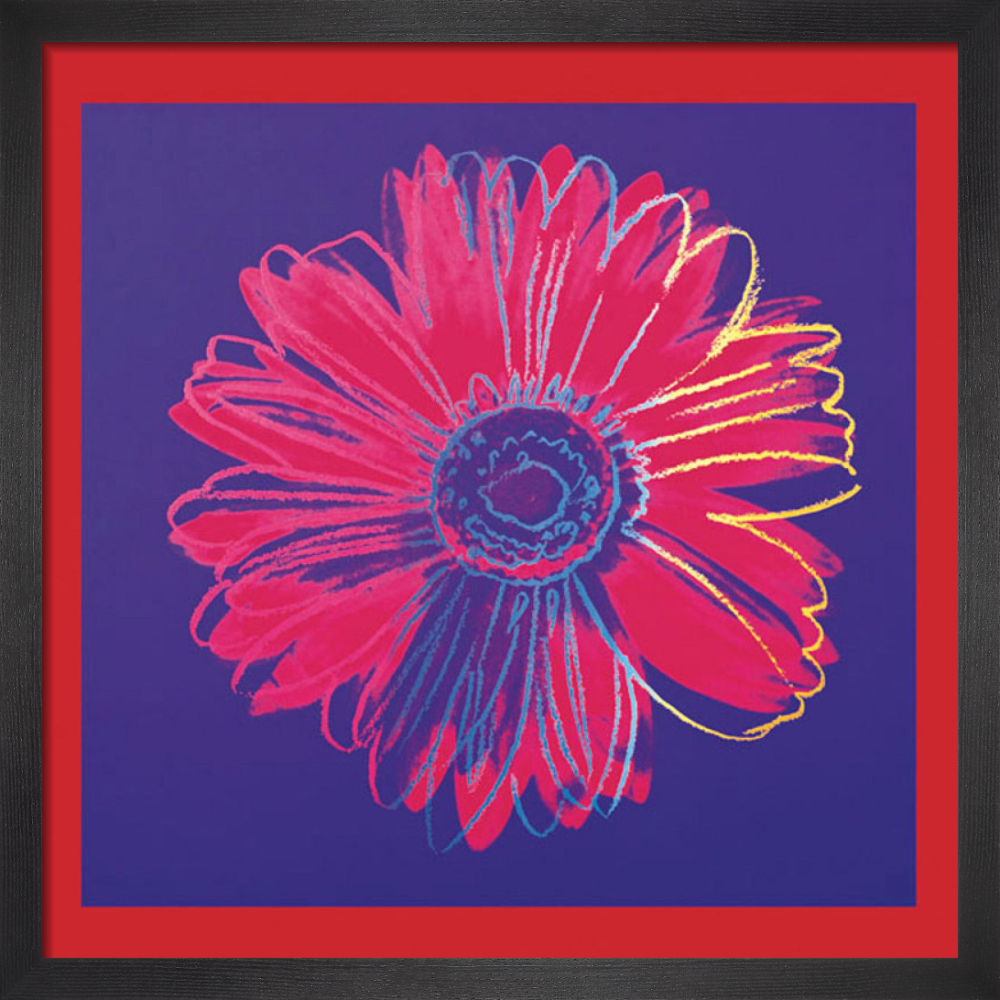 Daisy, c.1982 (blue & red)