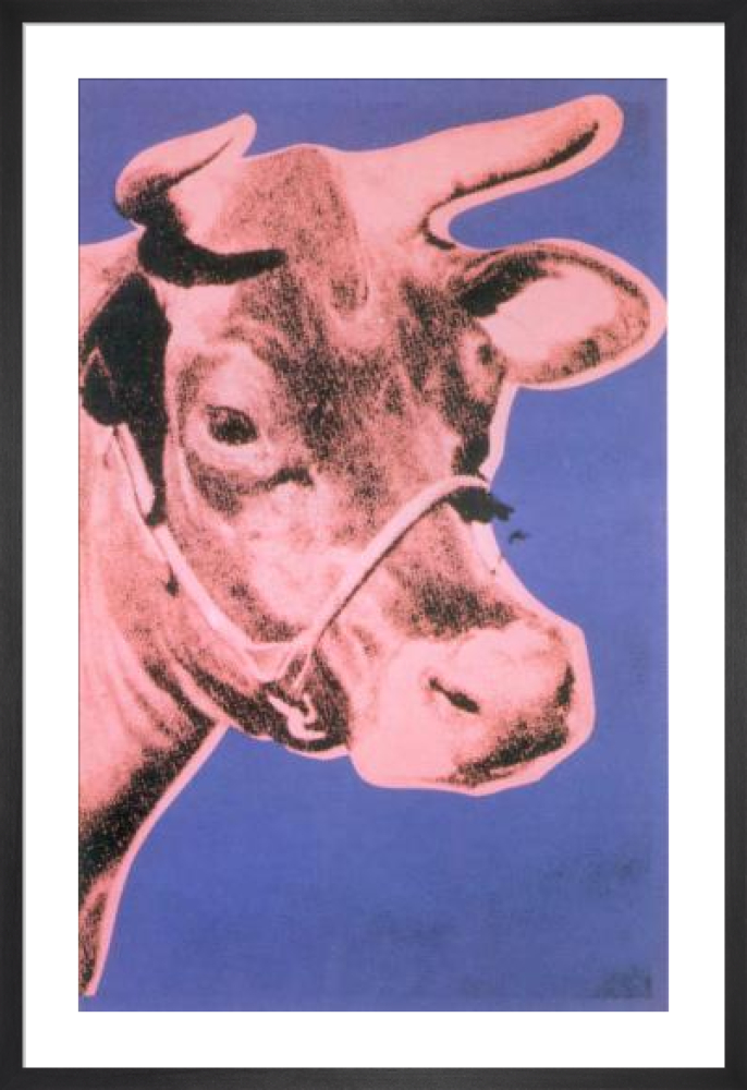 Cow, 1976 (pink & purple)