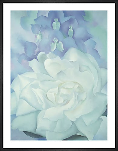 White Rose with Larkspur No. 2, 1927 by Georgia O'Keeffe