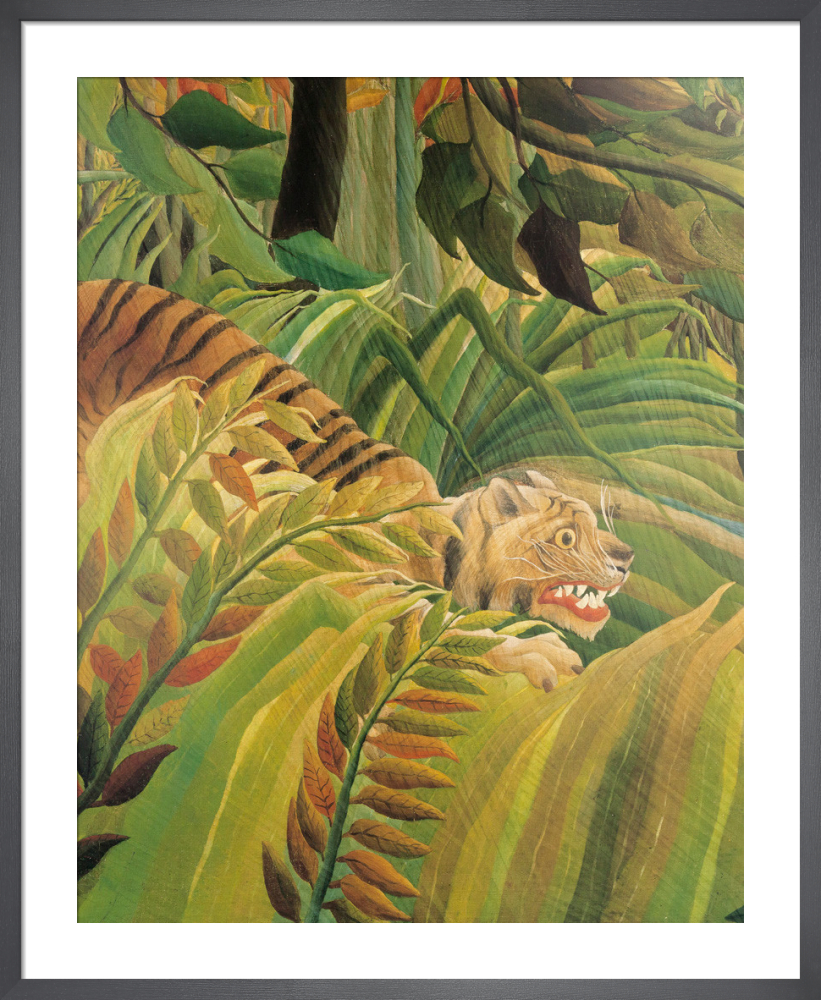 Detail from Suprised! (Tiger in a tropical storm)