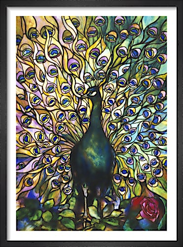 Peacock Window by Tiffany Studios