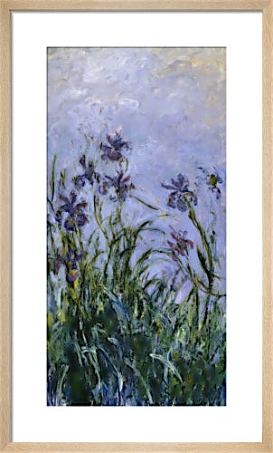 Iris Mauves, 1914 by Claude Monet
