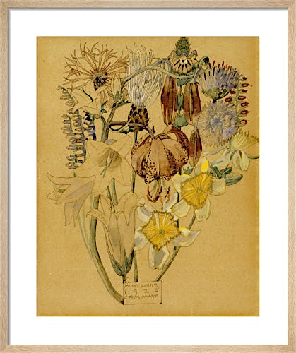 Mont Louis - Flower Study, 1925 by Charles Rennie Mackintosh