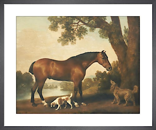 A Bay Hunter, a Springer Spaniel and a Sussex Spaniel, 1782 by George Stubbs