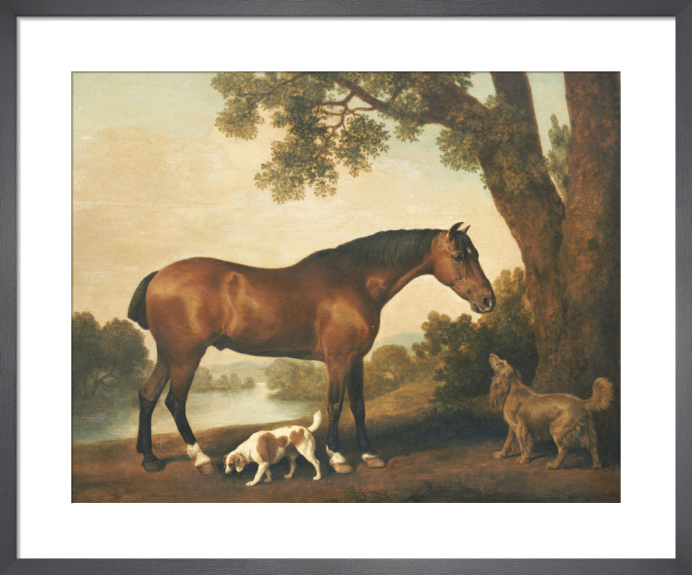 A Bay Hunter, a Springer Spaniel and a Sussex Spaniel, 1782