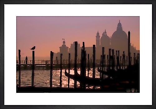 Venice At Dawn by Wayne Williams