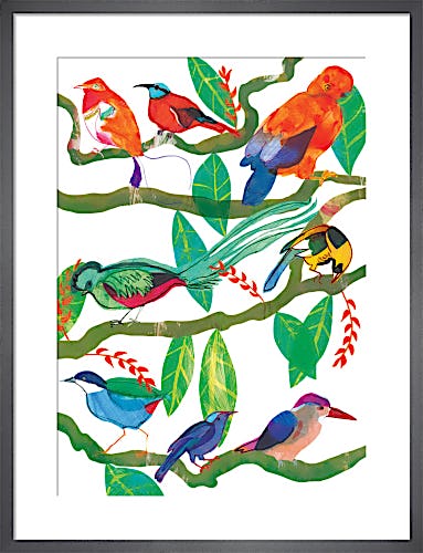 Exotic Birds by Louise Cunningham