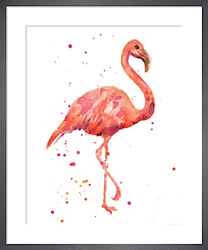 Flamingo by Alison Fennell