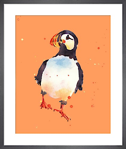 Puffin Daredevil by Alison Fennell