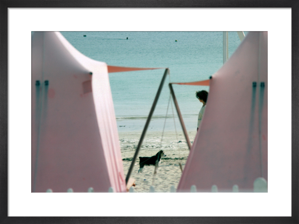 Dog and Friend on holiday