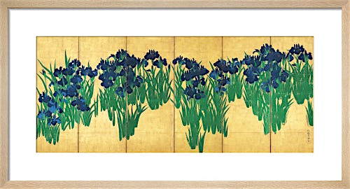 Irises by Ogata Korin