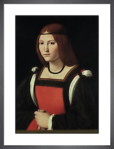 Portrait of a Woman by Giovanni Antonio Boltraffio