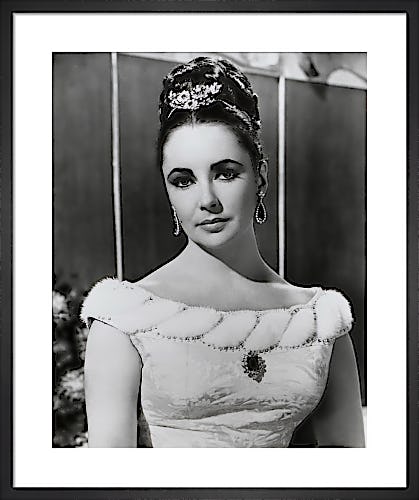 Elizabeth Taylor by Hollywood Photo Archive
