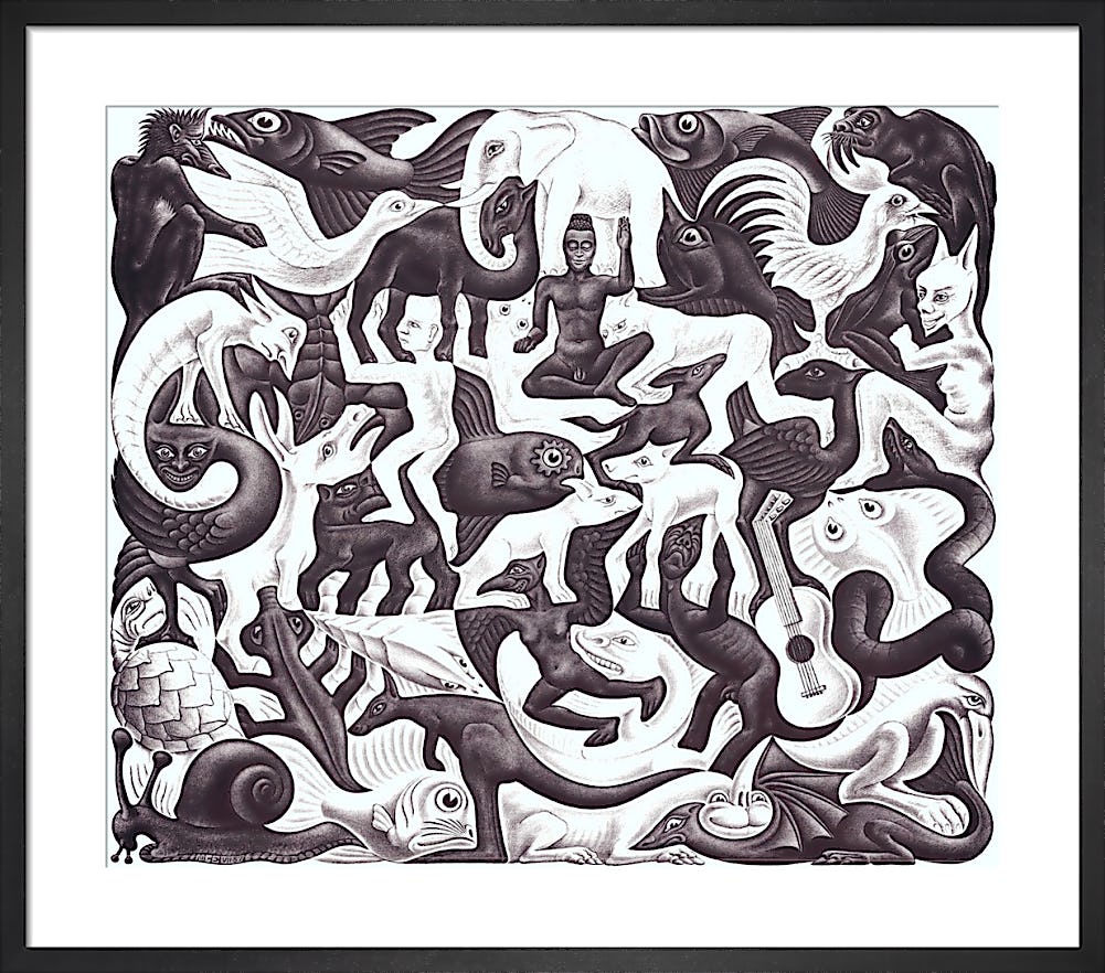 Escher Prints | King McGaw