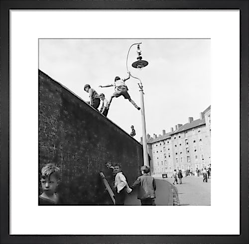 Climbing the wall, Oval cricket ground 1953 by Mirrorpix