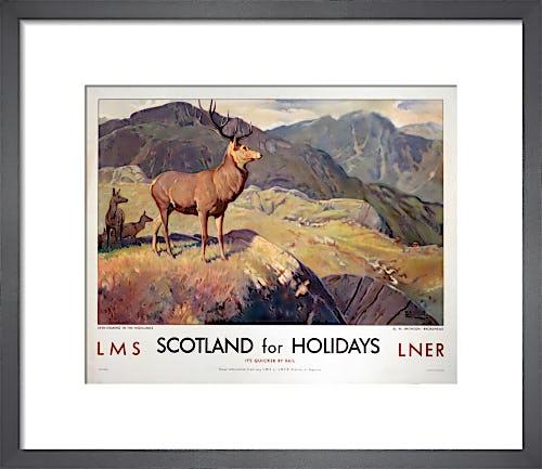 Scotland for Holidays - Deer Stalking by Anonymous