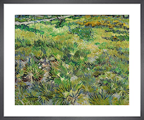 Long Grass with Butterflies by Vincent Van Gogh