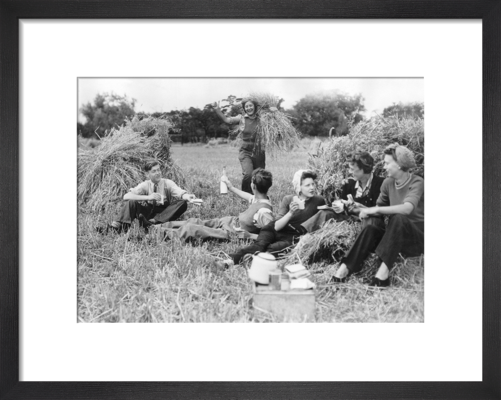 Farm holiday picnic, 1945