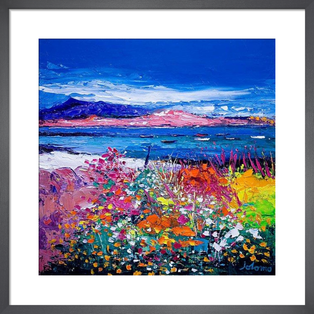 Front Gardens and the Moorings, Iona