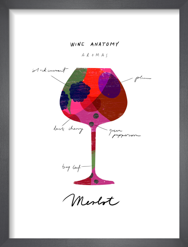 Wine Anatomy: Merlot