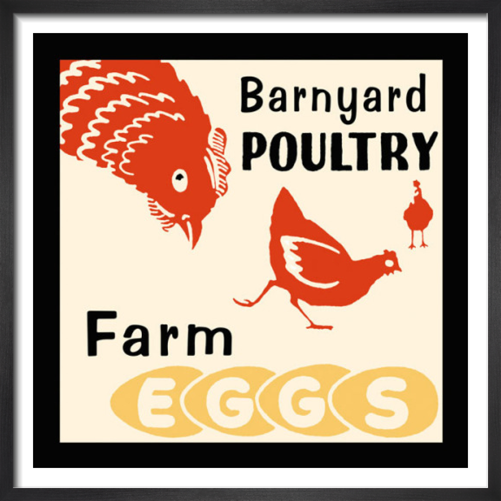 Barnyard Poultry-Farm Eggs