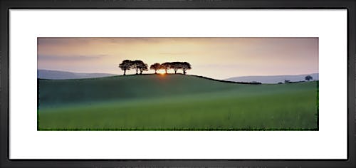 Somerset Sunrise by David Noton