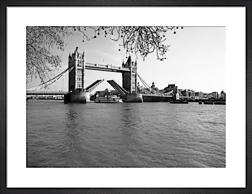Tower Bridge opening. by Niki Gorick