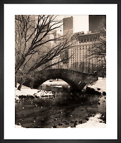 Central Park Bridges 4 by Christopher Bliss