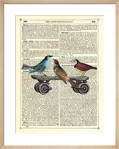 Birds on a Skateboard by Marion McConaghie