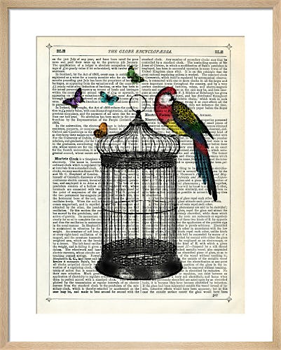 Bird Cage and Parrot by Marion McConaghie