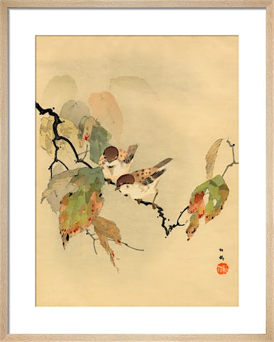 Sparrows with Autumn Leaves from Royal Horticultural Society (RHS)