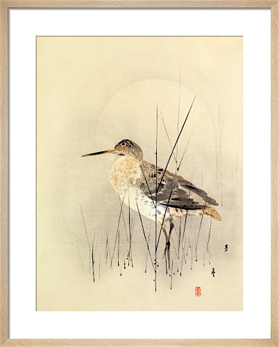Godwit by Anonymous Chinese Artist