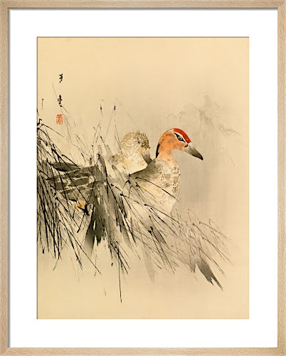 Ducks in Reeds by Anonymous Chinese Artist
