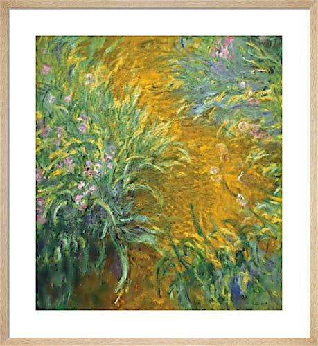 The Path in the Iris Garden by Claude Monet
