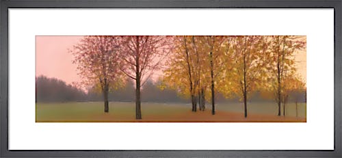 Autumn Dawn, Maples by Elissa Gore