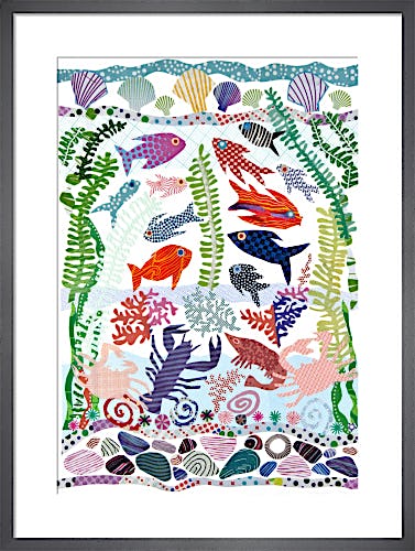 Fish & Shells by Jane Robbins