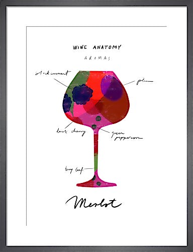 Wine Anatomy: Merlot by Ana Zaja Petrak