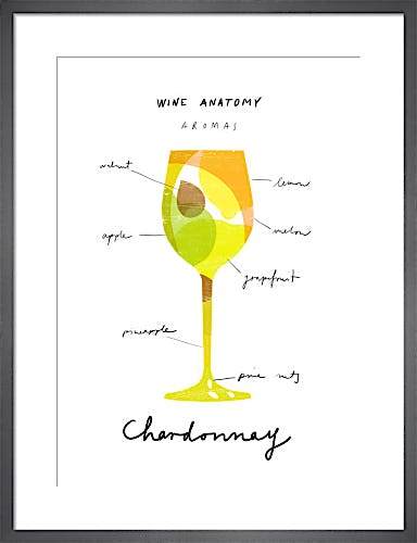 Wine Anatomy: Chardonnay by Ana Zaja Petrak