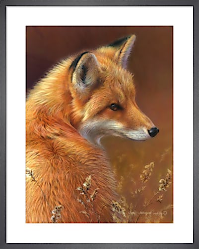 Curious- Red Fox by Joni Johnson-Godsy