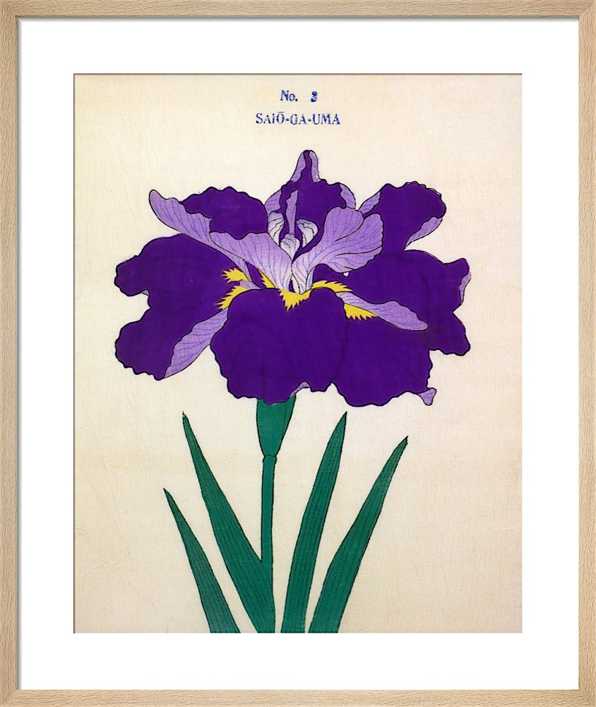 Rouleau d'autocollants décoratifs Iris Flower Invited ing Journal