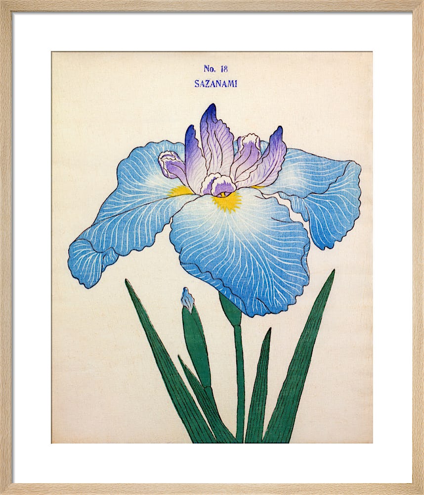 Rouleau d'autocollants décoratifs Iris Flower Invited ing Journal