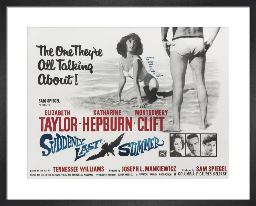 Suddenly Last Summer