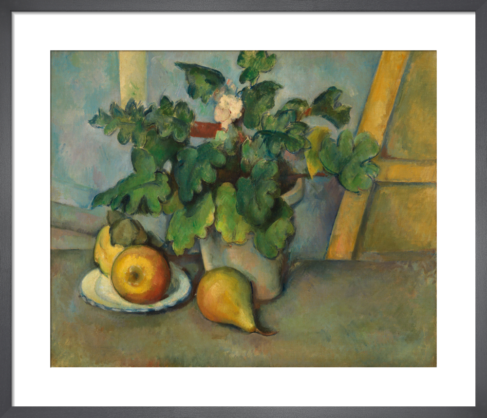 Pot of Primroses and Fruit