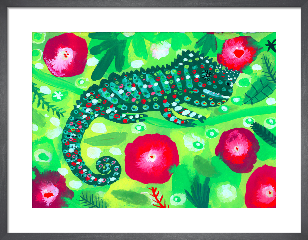 Green and red Chameleon