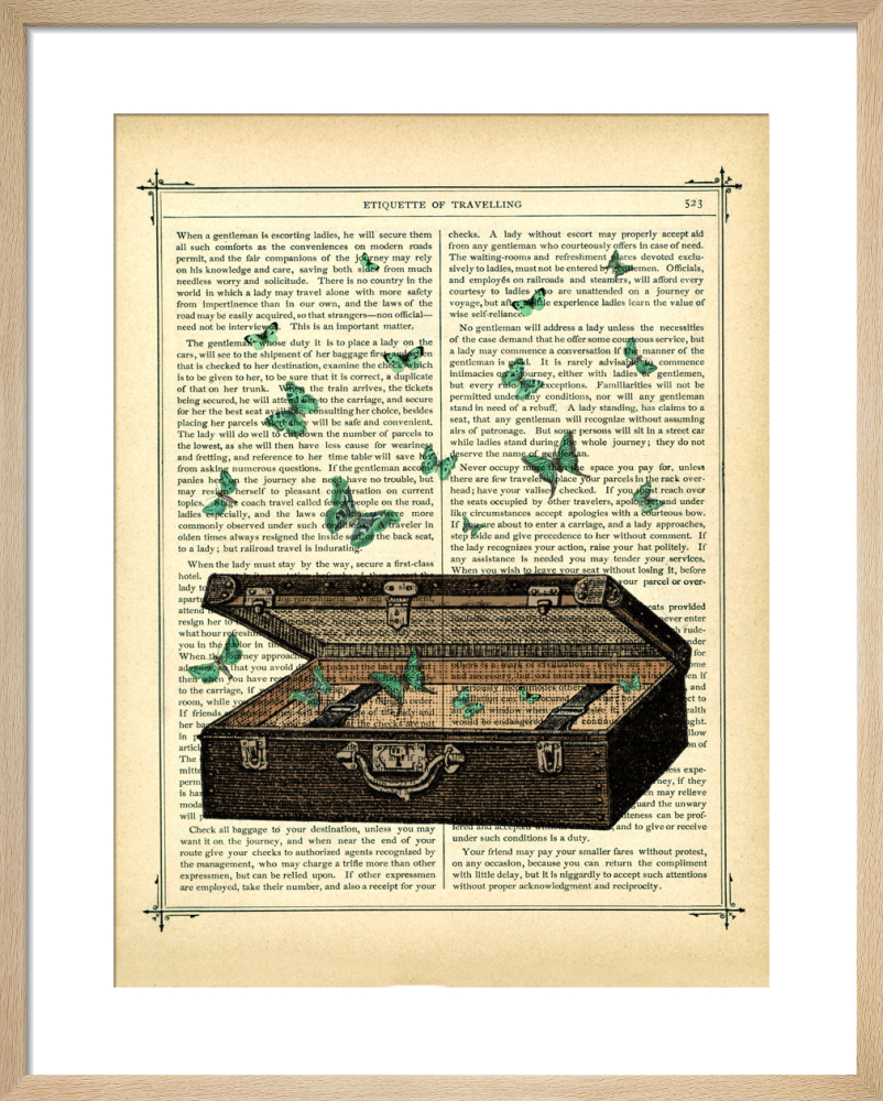 Travelling Butterflies